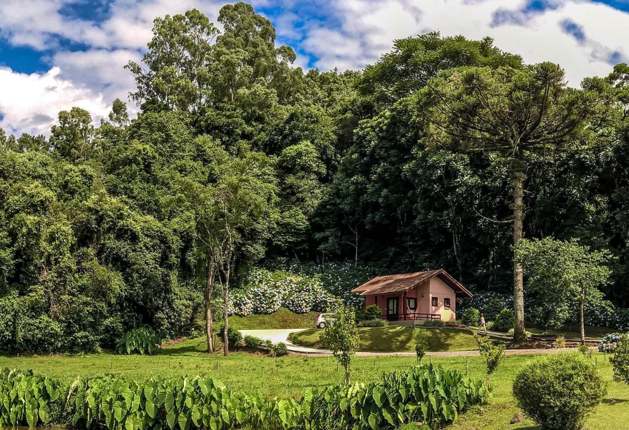 Pousada Pinhal Alto Nova Petropolis Eksteriør billede